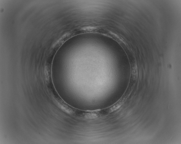 X0000073750572200608171334