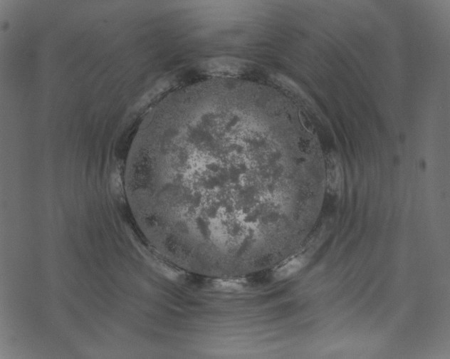 X0000073750573200608171334