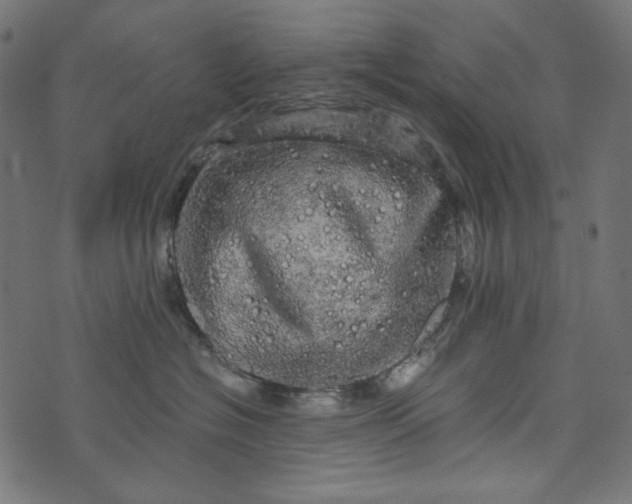 X0000073750574200608171334