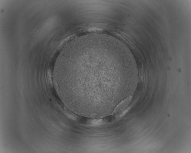 X0000073750575200608171334