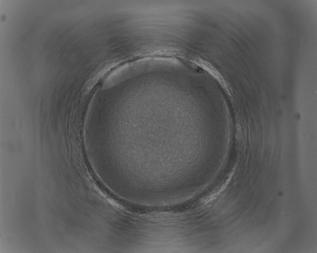 X0000073750577200608171333