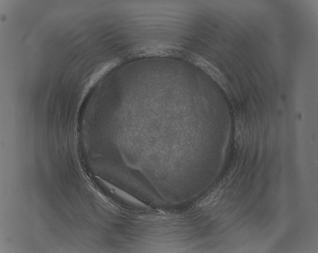 X0000073750578200608171333