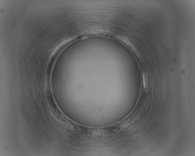 X0000073750579200608171333