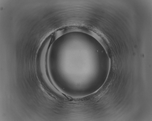 X0000073750580200608171333