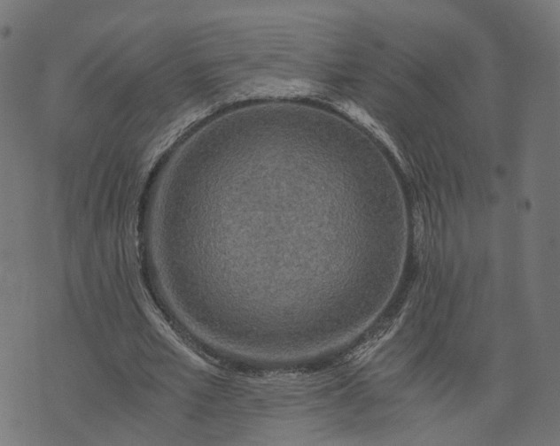 X0000073750581200608171333