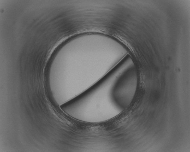 X0000073750584200608171333