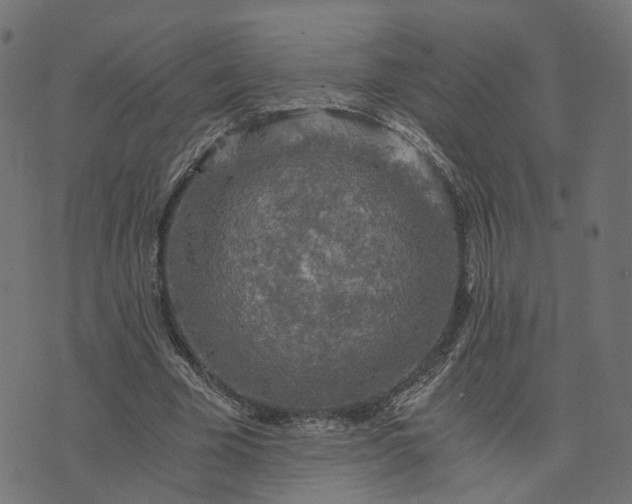 X0000073750585200608171333