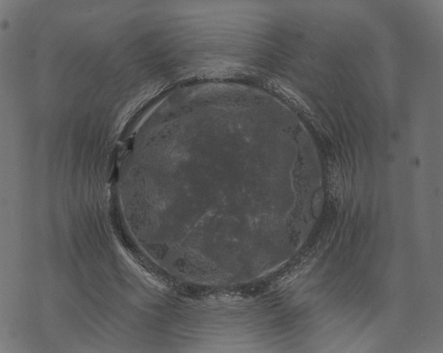 X0000073750586200608171333