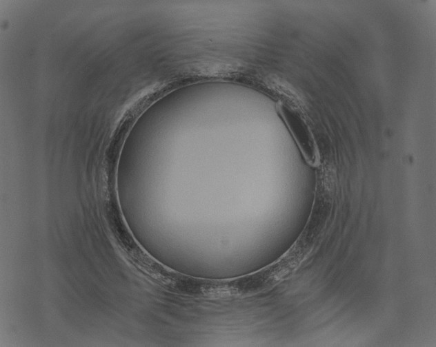 X0000073750587200608171333