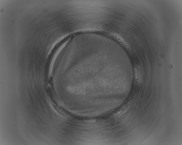 X0000073750588200608171333