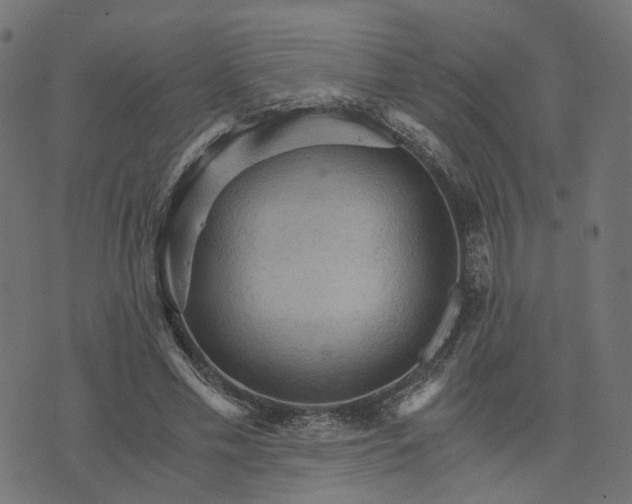 X0000073750589200608171333