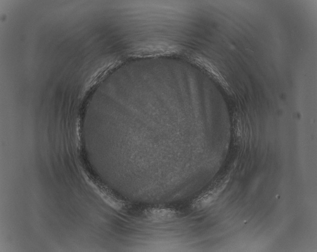 X0000073750590200608171333