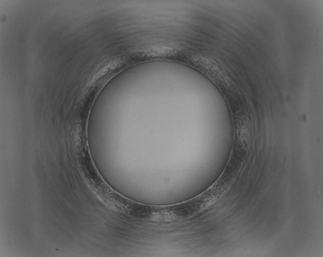 X0000073750591200608171333