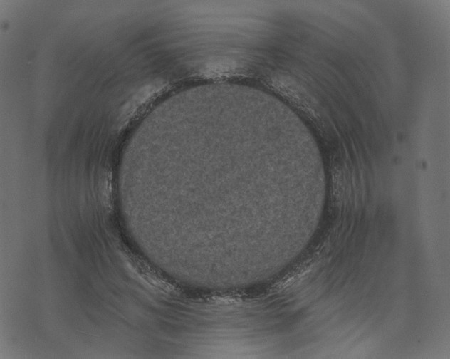 X0000073750592200608171333