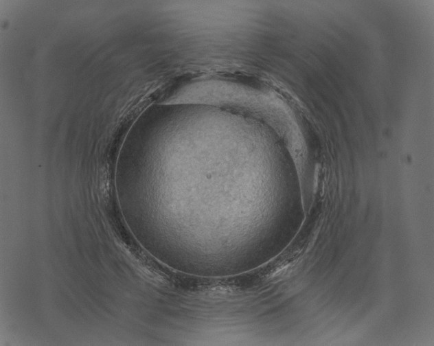 X0000073750593200608171333