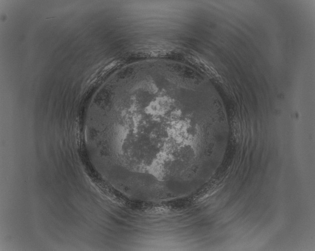 X0000073750594200608171333