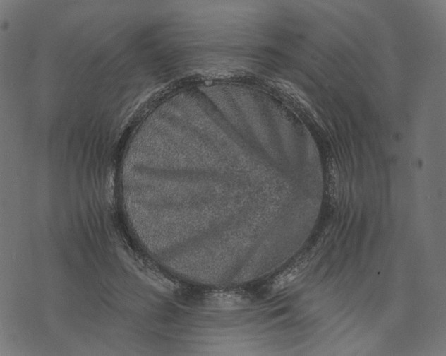 X0000073750596200608171333