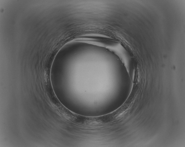 X0000073750597200608171333