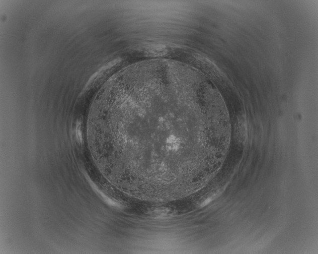 X0000073750598200608171333