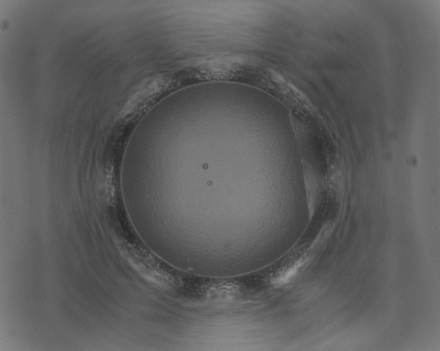 X0000073750599200608171333