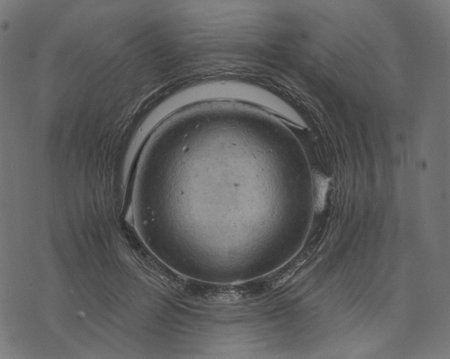 X0000073750600200608171333