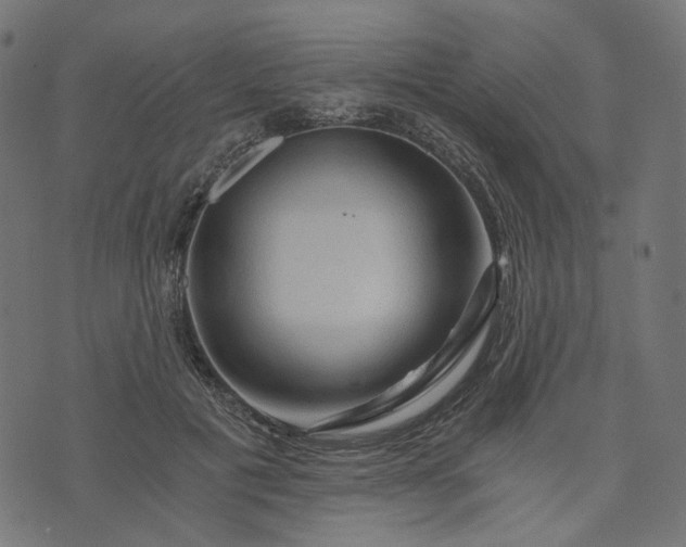 X0000073750601200608171333