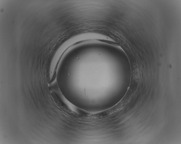 X0000073750604200608171333