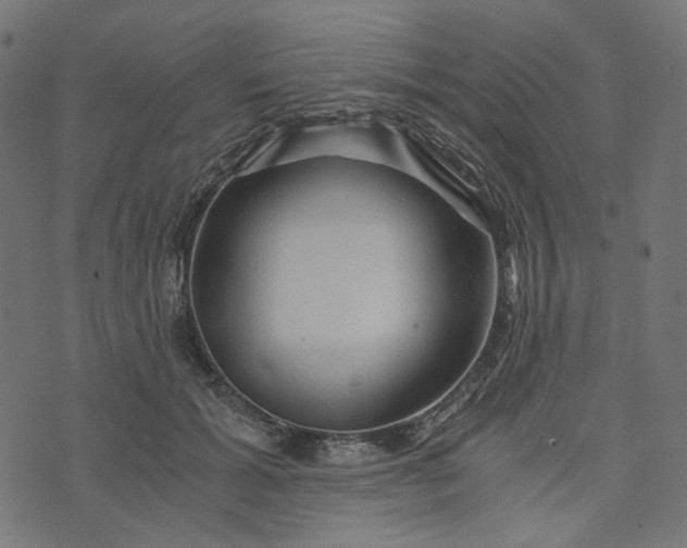 X0000073750605200608171333