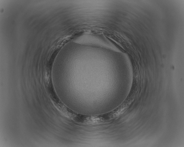 X0000073750607200608171333