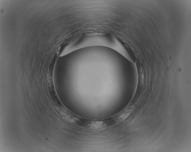 X0000073750609200608171333