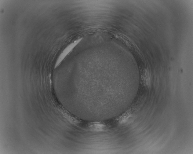 X0000073750610200608171333