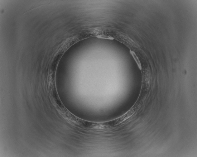 X0000073750611200608171333