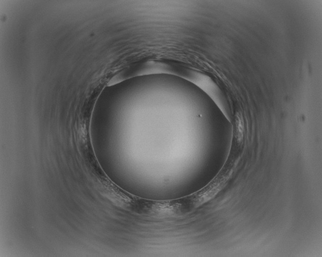 X0000073750613200608171333