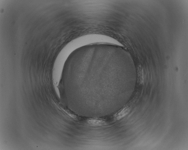 X0000073750614200608171333