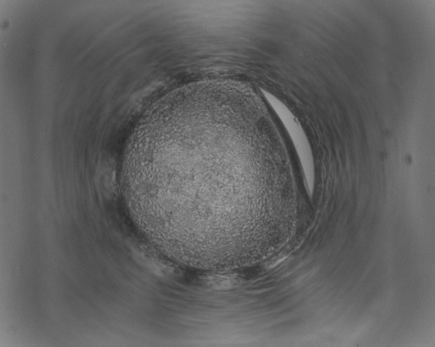 X0000073750615200608171333