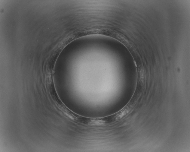 X0000073750617200608171333