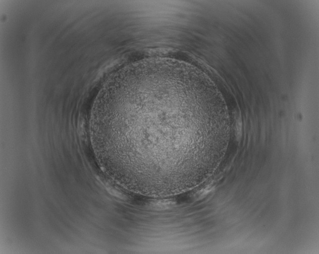 X0000073750619200608171333