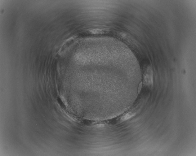 X0000073750620200608171333