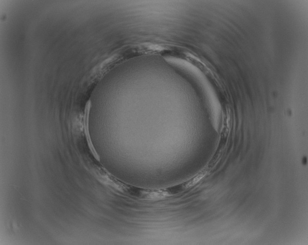 X0000073750621200608171333