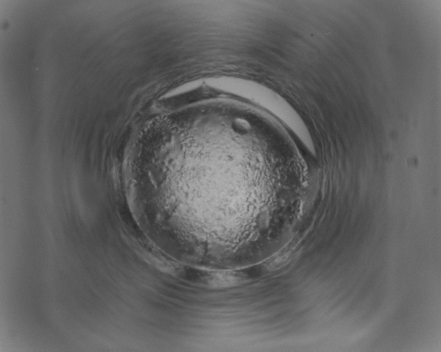 X0000073750623200608171333