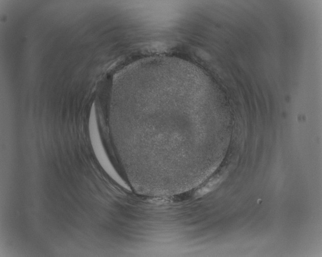 X0000073750624200608171333