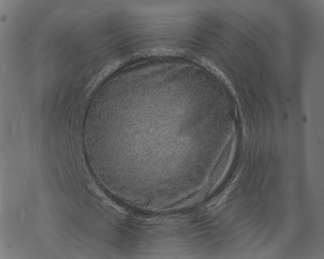 X0000073750625200608171332