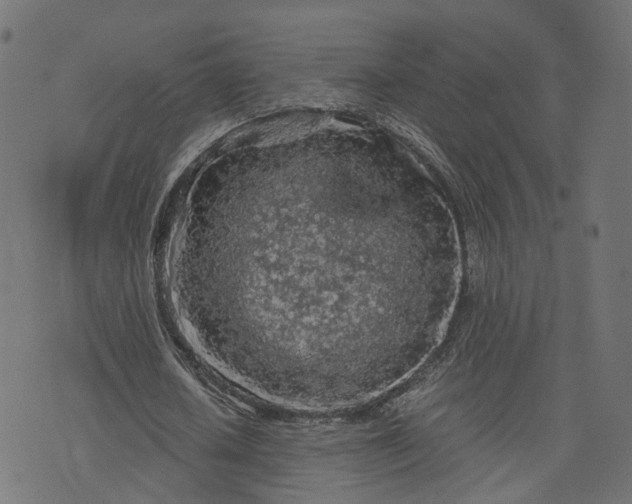 X0000073750626200608171332