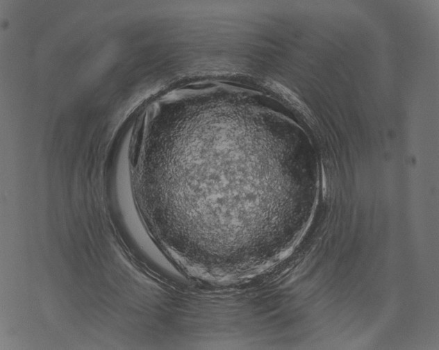 X0000073750627200608171332