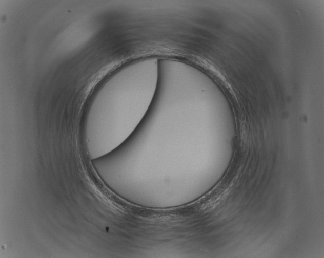 X0000073750629200608171332