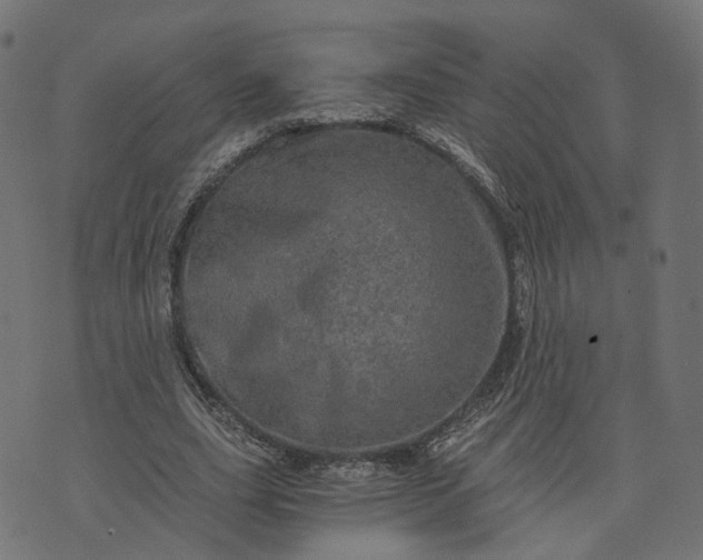 X0000073750631200608171332