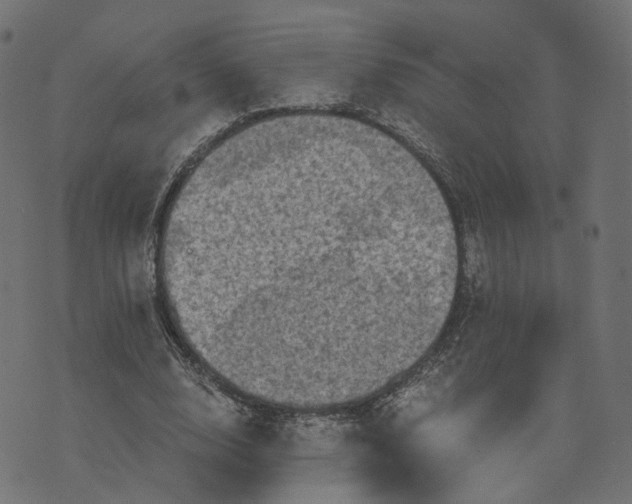 X0000073750632200608171332