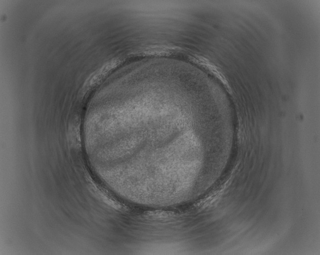 X0000073750633200608171332