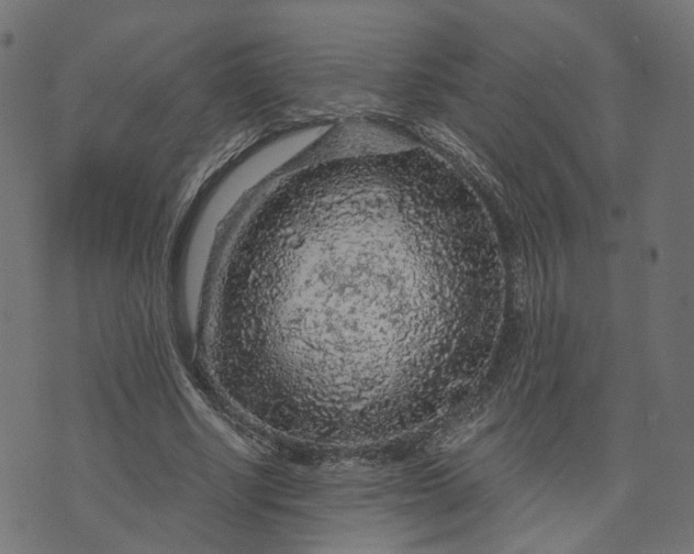 X0000073750634200608171332