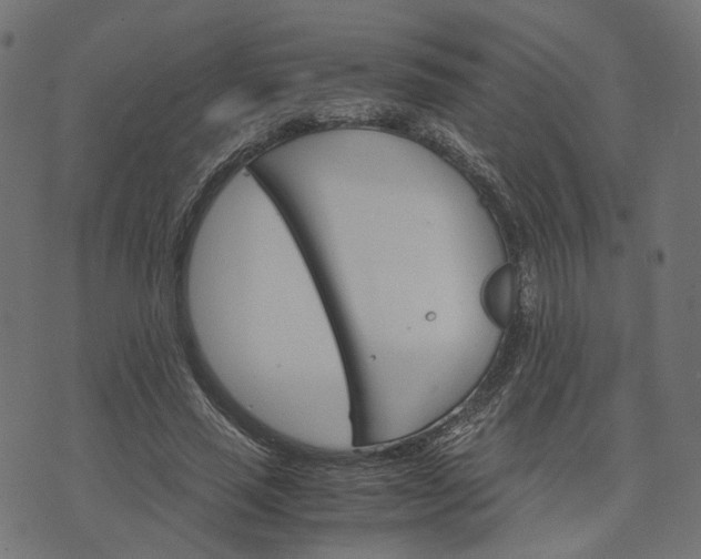 X0000073750637200608171332